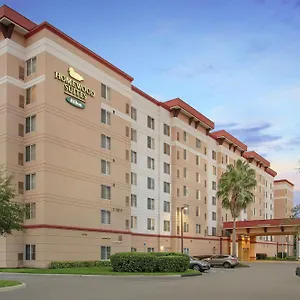 Hotel Homewood By Hilton Tampa-brandon